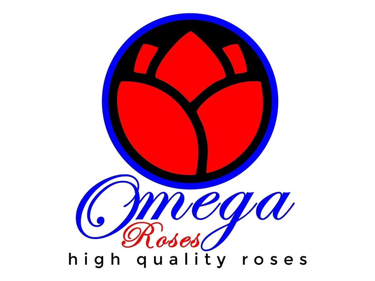 Omega Roses